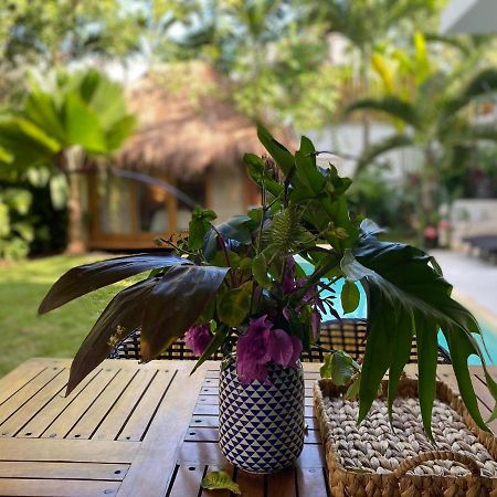 Luxury Private Villas , Private Pool, Private Garden, Jacuzzi, 24Hours Security Tulum Esterno foto